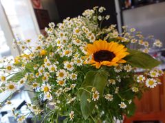 -茶缸AMOKKA COFFEE