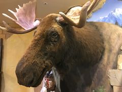 -信不信由你博物馆