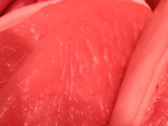 -北京稻香村(花市店)