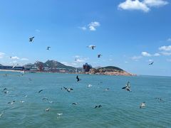 -海驴岛(荣成市)