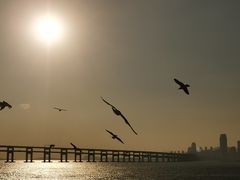 -星海广场