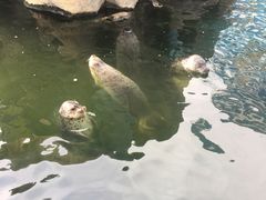 -华夏文旅海洋公园