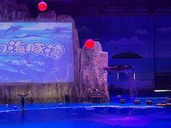 -华夏文旅海洋公园