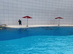 -上海海昌海洋公园