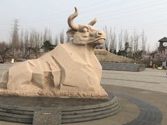 -永定河休闲森林公园