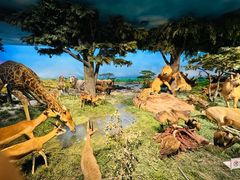 -国家自然博物馆