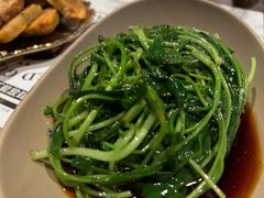 -MR鹅外