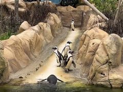 -宁波野生动物园