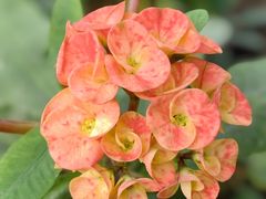 -北京植物园-展览温室