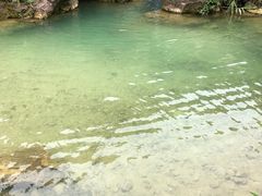 -南海湾森林生态园