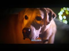 -橙天嘉禾影城(苏州印象城店)
