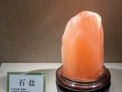 -北京中医药大学-中医药博物馆