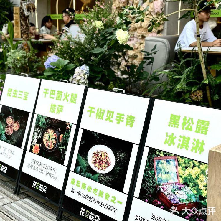 来昆明的第二天