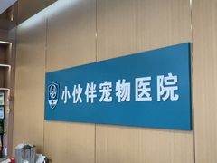 -小伙伴宠物医院•急重症转诊中心·老年专科·犬猫全科(北大街总院)