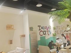 -藏猫猫咖啡主题馆(中央大道店)
