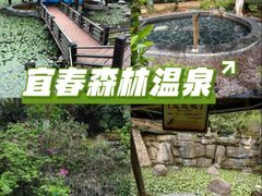 -明月山天沐温泉度假村