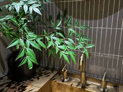 -青桃餐厅