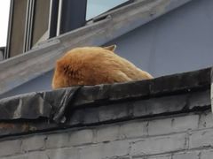 -一品小笼(金融街店)