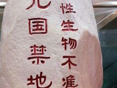 -天幕新彩云国际影城(激光巨幕店)