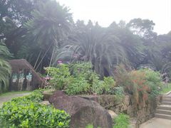 -深圳仙湖植物园