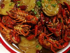 -不炭白烧烤(成都首店)