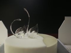 -BLACKSWAN黑天鹅(环球店)