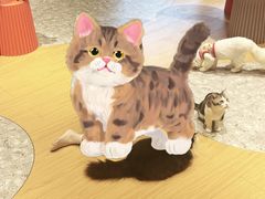 -米乐乖乖猫咪咖啡馆·猫咖(深圳湾后海汇店)