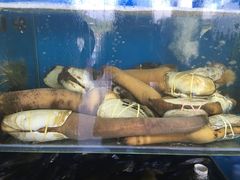-蚝专家(北滘店)