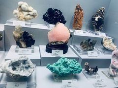 -湖南省地质博物馆