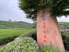 -听风阁农家私房菜茶楼(龙坞店)