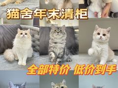 -lincat·猫舍(广州店)
