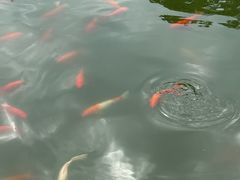 -报恩禅寺