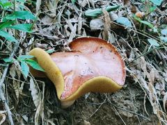 -云峰山自然风景区