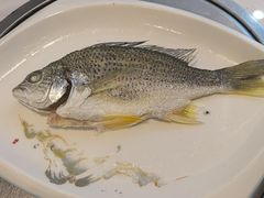 -陆记鹅庄·潮汕菜·狮头鹅(大仟里店)
