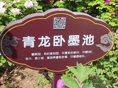 -洛阳市牡丹公园