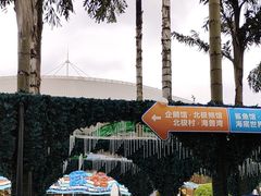 -海合安成都极地海洋公园