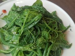 -樽宴酒楼·地道川菜·品质宴请