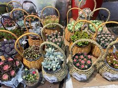 -循礼门鲜花花市(武汉循礼门店)