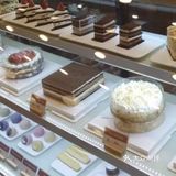 苏州探店|西树泡芙