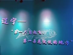 -辽宁古生物博物馆