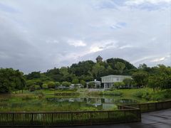 -王借岗森林公园