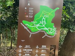 -上海佘山国家森林公园天马山园