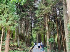 -罗田薄刀峰风景区