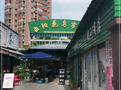 -曲阳花鸟市场(曲阳路店)