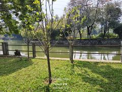 -晓港公园