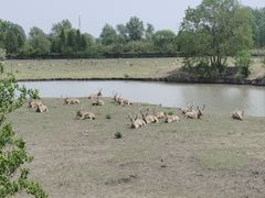 -溱湖国家湿地公园