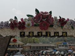 -贵州百里杜鹃风景名胜区