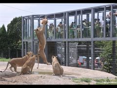 -西安秦岭野生动物园