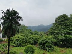 -韶山毛泽东同志故居