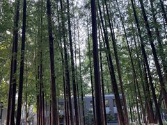 -南京航空航天大学(明故宫校区)